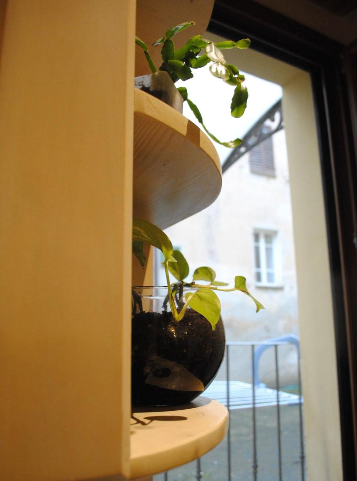 Sun Flowers House Pitigliano Exterior photo